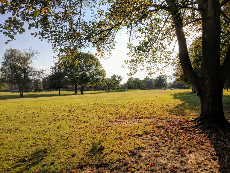 Golf green at Clarksdale Country Club